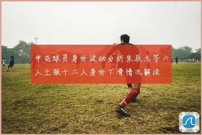 申花球员身价波动分析朱辰杰等六人上涨十二人身价下滑情况解读